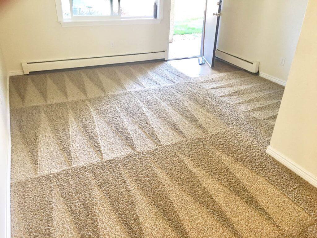Carpet Cleaning
